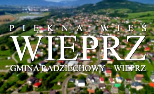 I nagroda - WIEPRZ - 