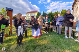 Majówka z 