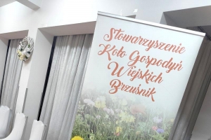 Spotkanie warsztatowe w ramach Karpackich inicjatyw lokalnych - zdjęcie2