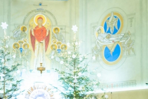 Powrót z kolędą do Wieprza - zdjęcie16