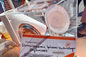 Z Pomarańczową Energią - zdjęcie28
