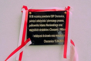 CHORZENALIA  2008 - Święto  Społeczności  Lokalnych - zdjęcie17