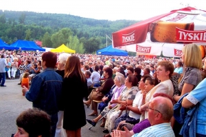 WAWRZYŃCOWE JARMARKI 2009 - zdjęcie10